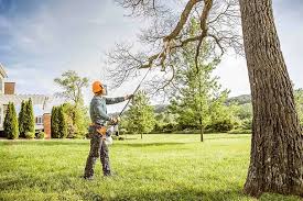 Best Pest Control for Lawns  in Mays Chapel, MD