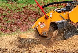Best Lawn Grading and Leveling  in Mays Chapel, MD