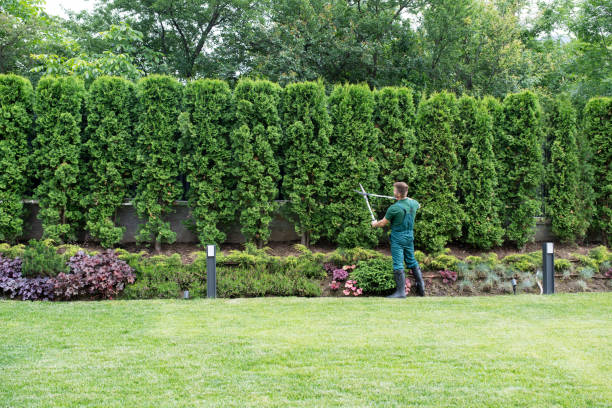 Best Tree Removal  in Mays Chapel, MD