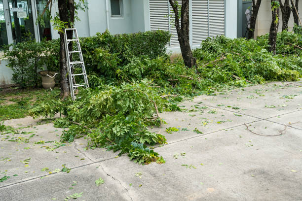 Best Tree Risk Assessment  in Mays Chapel, MD